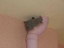 100_2231.JPG