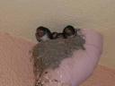 100_2341.JPG