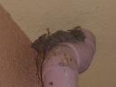 100_3710.JPG